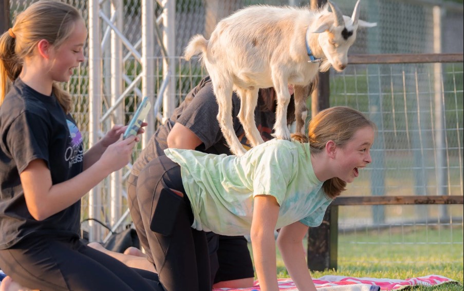 Original Goat Yoga & Goat Happy Hour Farm Experiences