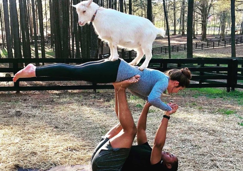 Original Goat Yoga & Goat Happy Hour Farm Experiences