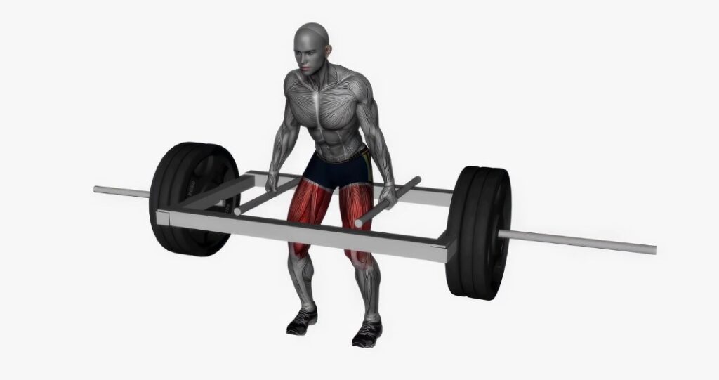 Trap Bar Deadlift